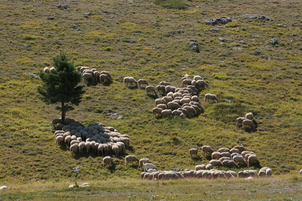 Residenza La Torre Apart otel Santo Stefano Di Sessanio Dış mekan fotoğraf